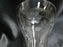 Etched Flowers & Leaves: Water or Wine Goblet, 6 5/8" - CR#016