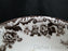 Spode Woodland Black Labrador Hunting Dog: NEW Ascot Cereal / Soup Bowl 8", Box