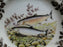 Spode Woodland North American Fish Pacific Salmon: NEW Salad Plate, 7 3/4", Box