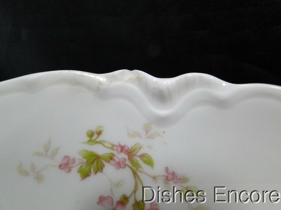 Haviland (Limoges) Schleiger 904C: Dinner Plate (s), 9 5/8", As Is