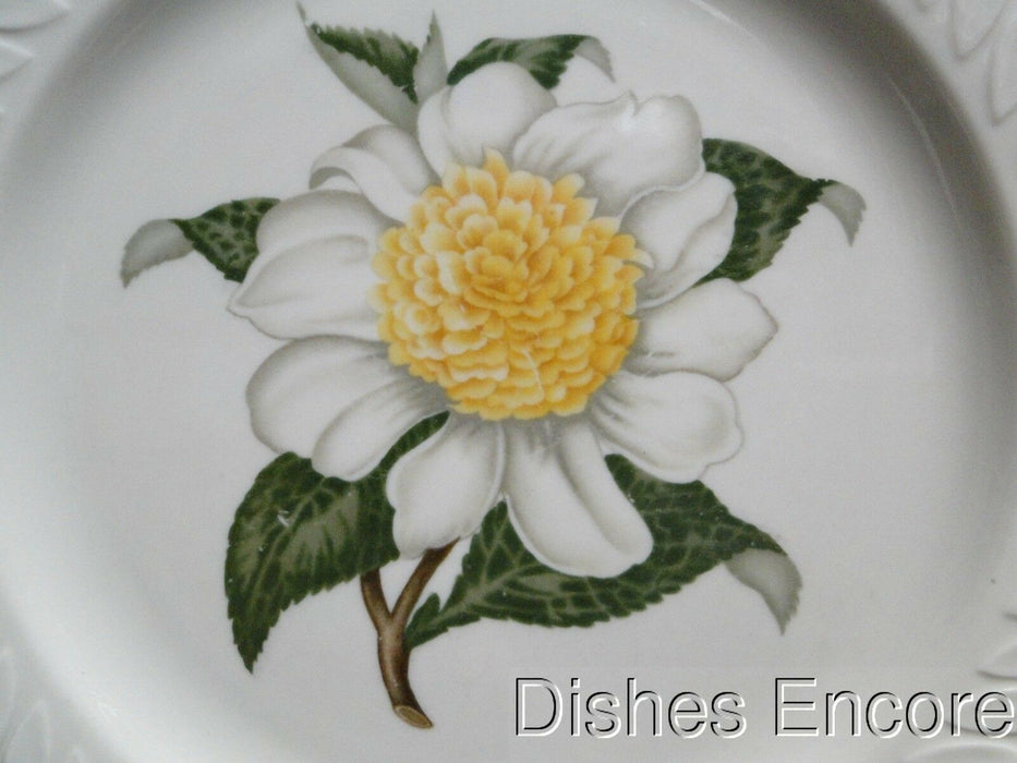Haviland (New York) Camellia, White Flower w/ Yellow: Dinner Plate, 10 3/4"