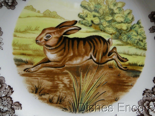 Spode Woodland Rabbit, Bunny, England: NEW Dinner Plate (s), 10 1/2", Box