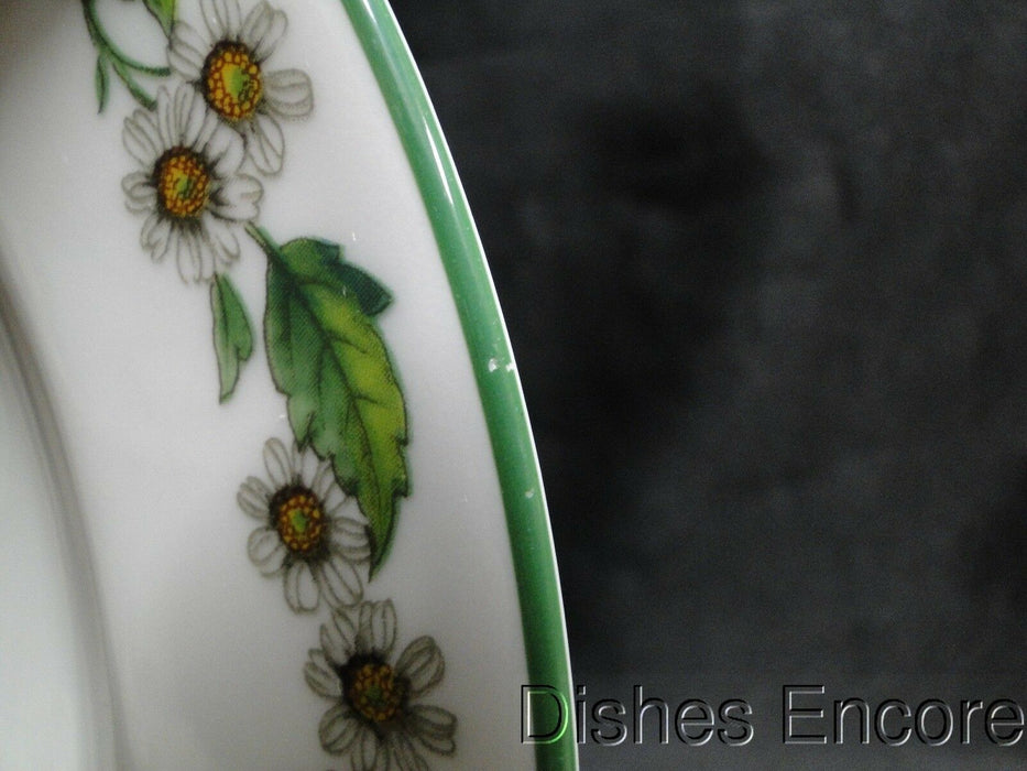 Royal Worcester Worcester Herbs: Salad Plate (s), 8 3/8", Sage