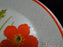 Lenox Fire Flower, Temperware: Bread Plate (s), 6 1/8"