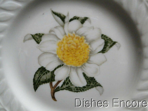 Haviland (New York) Camellia, White Flower w/ Yellow: Bread Plate (s), 6 1/2"