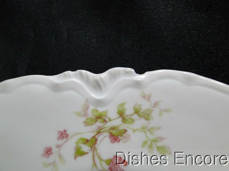 Haviland (Limoges) Schleiger 904C: Dinner Plate (s), 9 5/8", As Is