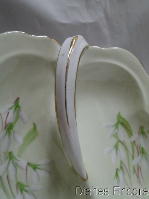 Royal Albert Laurentian Snowdrop, Pale Green, White Flowers: Two Part Relish, 7"