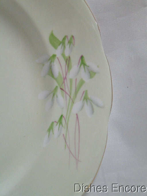 Royal Albert Laurentian Snowdrop, Pale Green, Flowers: Dinner Plate, 10" As Is