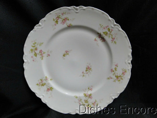 Haviland (Limoges) Schleiger 904C: Dinner Plate (s), 9 5/8", As Is