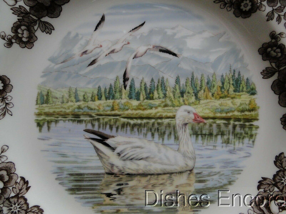 Spode Woodland Snow Goose, England: NEW Dinner Plate (s), 10 1/2", Box