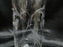 Clear w/ Gray Cut Flowers & Leaves: Flat Tumbler (s), 5 1/8" -- CR#088