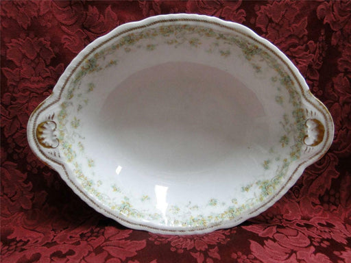 Haviland (Limoges) Green & Tan Floral Garland, Blank 123: Oval Serving Bowl