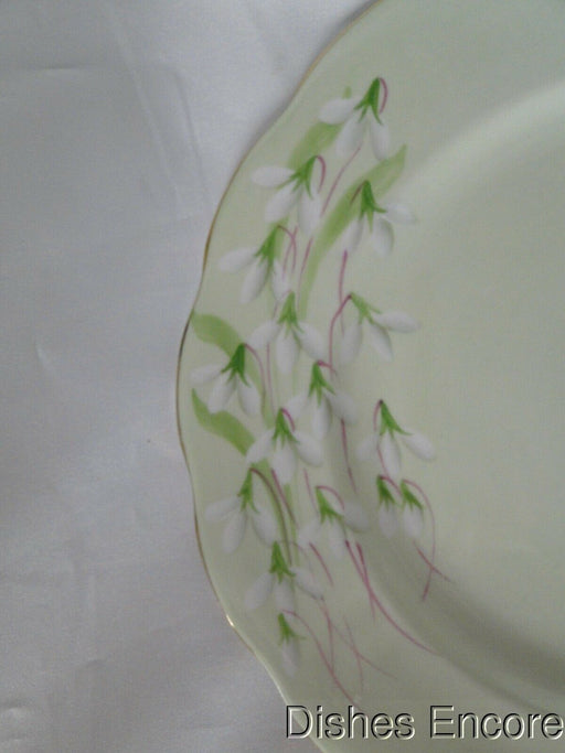 Royal Albert Laurentian Snowdrop, Pale Green, White Flowers: Dinner Plate, 10"