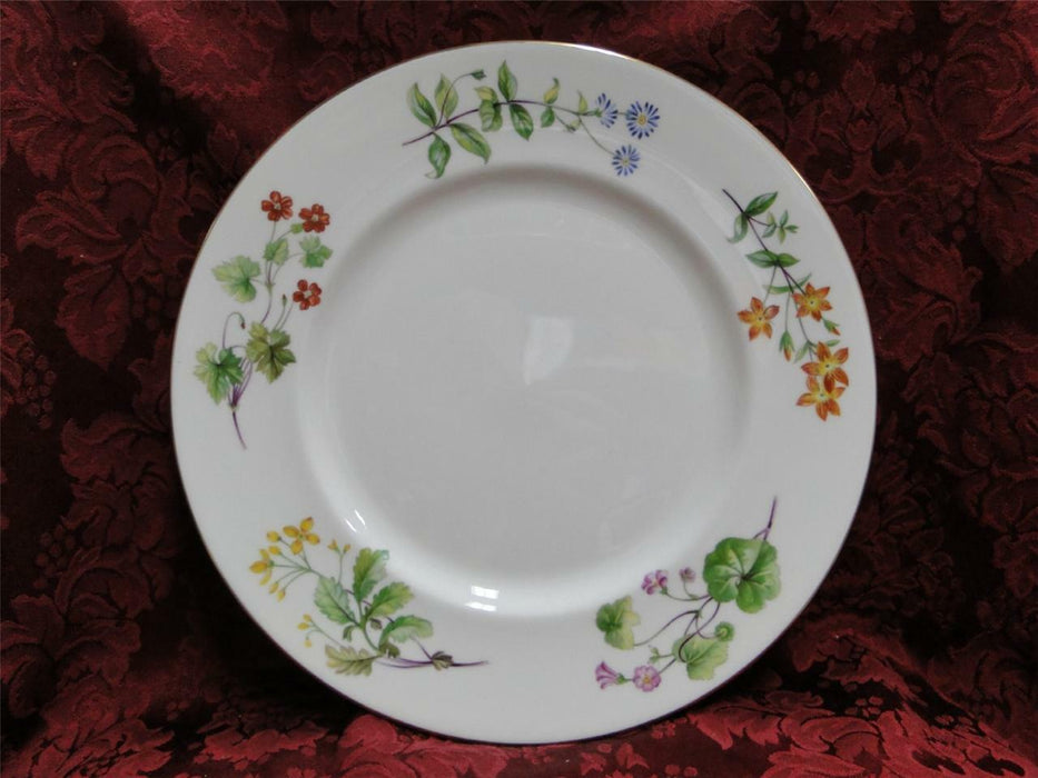 Minton Meadow, Smooth, Floral, Gold Trim: Dinner Plate (s), 10 1/2"