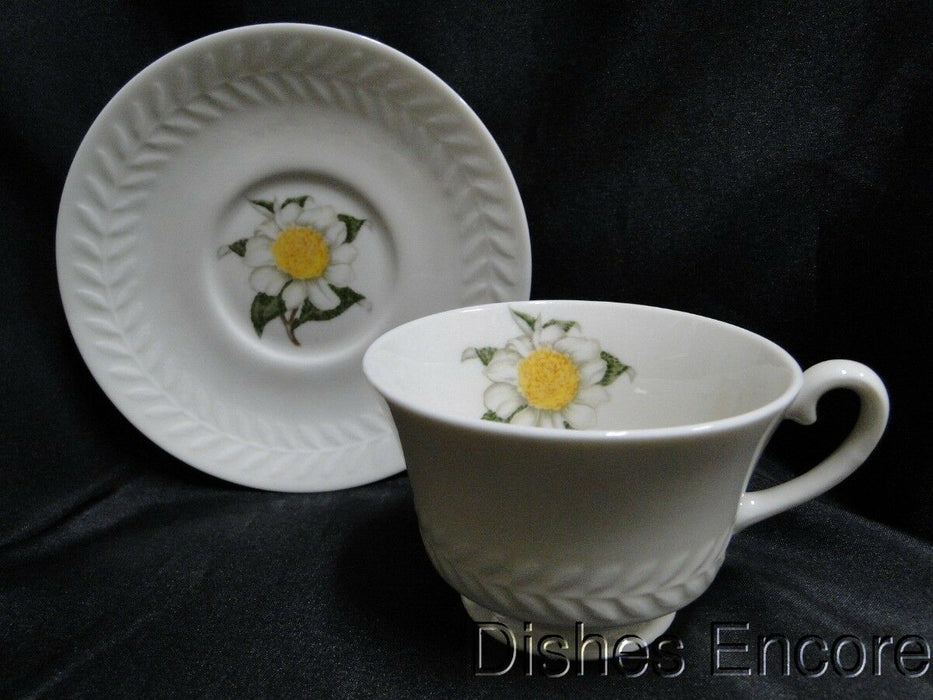 Haviland (New York) Camellia, White Flower w/ Yellow: Cup & Saucer Set (s)