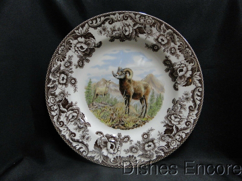 Spode Woodland Bighorn Sheep, England: NEW Dinner Plate (s) 10 1/2", Box