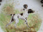Spode Woodland Flat Coat Pointer Hunting Dog: NEW Dinner Plate, 10 1/2", Box