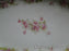 Zeh, Scherzer & Co 508, Pink Rose Garland: Oval Relish, 9" x 5 1/2"