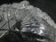 Cut Glass Bon Bon w/ Handle, MG#148, 6 1/2", As Is