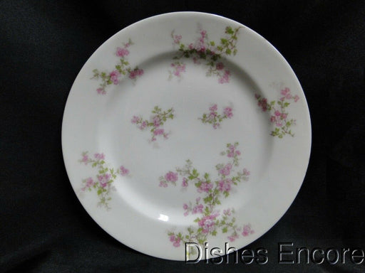 Haviland (Limoges) Schleiger 29a, Pink Flowers, Green: Luncheon Plate, 8 5/8"