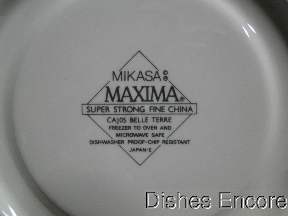 Mikasa Belle Terre CAJ05, Fruit: Cup & Saucer Set, 3" Tall
