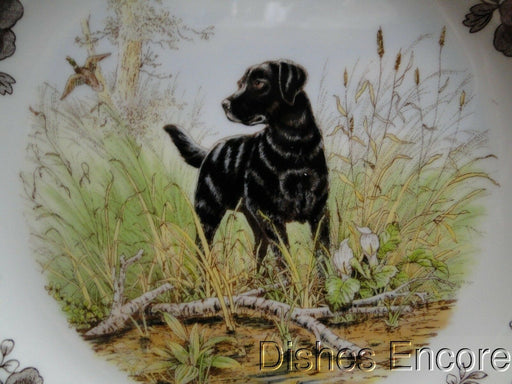Spode Woodland Black Labrador Hunting Dog: NEW Dinner Plate (s), 10 1/2", Box