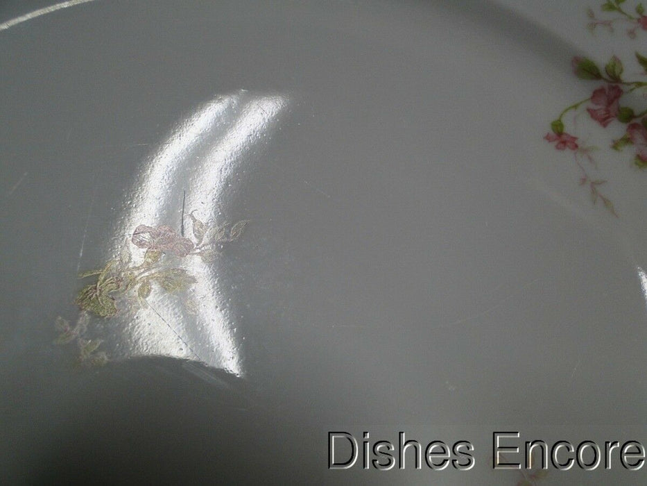 Haviland (Limoges) Schleiger 904C: Dinner Plate (s), 9 5/8", As Is