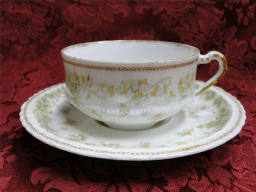 Haviland (Limoges) Green & Tan Floral Garland, Blank 123: Cup & Saucer Set (s)