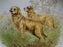 Spode Woodland Golden Retriever Hunting Dog: NEW Dinner Plate, 10 1/2", Box