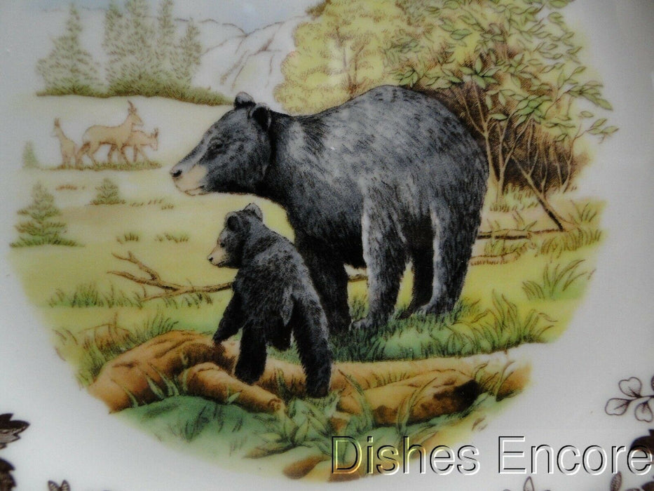 Spode Woodland Black Bear, England: NEW Salad Plate (s), 7 3/4", Box