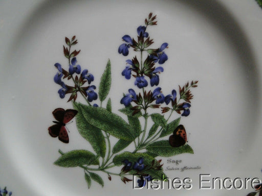 Royal Worcester Worcester Herbs: Salad Plate (s), 8 3/8", Sage