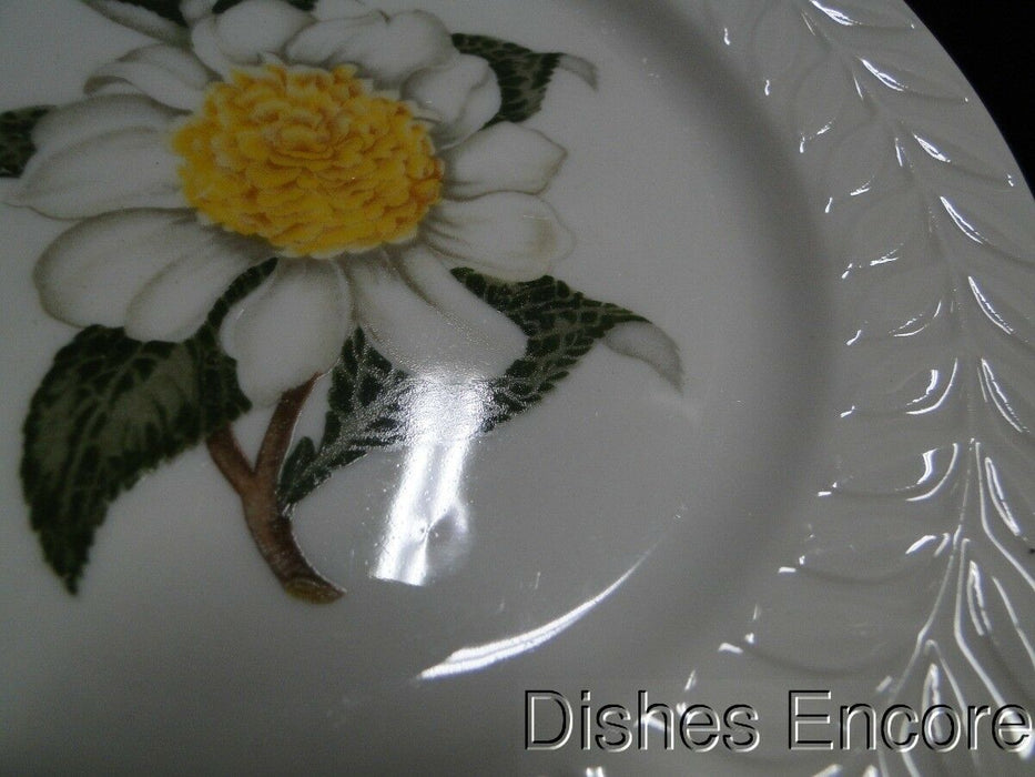 Haviland (New York) Camellia, White Flower w/ Yellow: Bread Plate (s), 6 1/2"