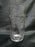 Clear w/ Gray Cut Flowers & Leaves: Flat Tumbler (s), 5 1/8" -- CR#088