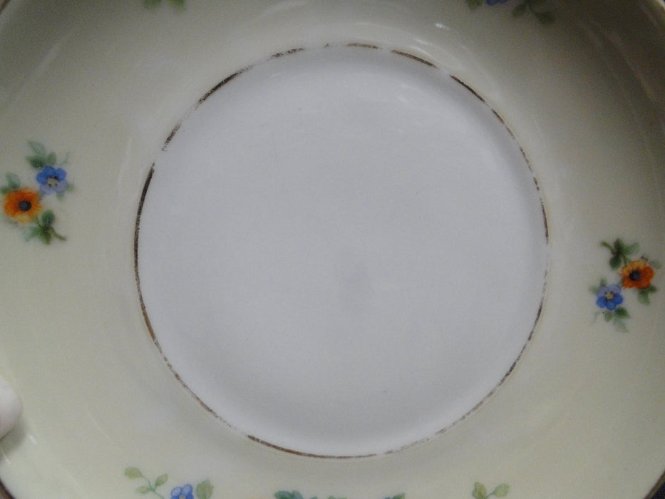 Heinrich Songbird, Bird, Florals: 5 3/4" Saucer (s) Only, Wear