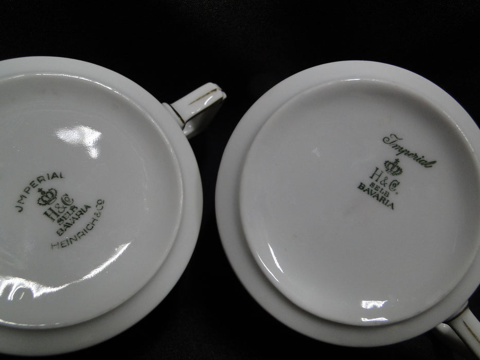 Heinrich Florals, Gold Trim: Square White Handle Cup & Saucer Set, 1 7/8"