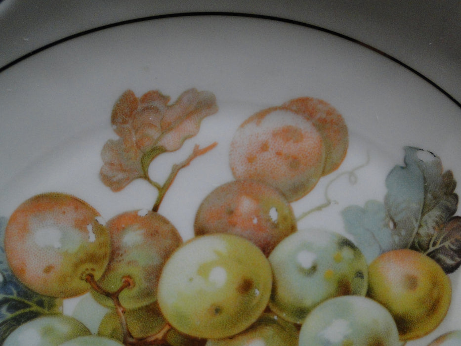 Schwarzenhammer SWH3, Various Fruit Centers, Pierced: Salad Plate (s), 7 5/8"
