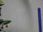 Spode Christmas Tree, Green Trim, England: Dinner Plate, 10 3/8"-10 7/8" As Is