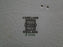 Spode Christmas Tree, Green Trim, England: Salad Plate (s), 7 3/4", As Is