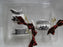 Spode Heritage Black: NEW Tea Set Mini Ornaments, Teapot, Creamer, Cup, Box