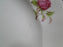 Adderley 7055, Pink Roses w/ Gold Trim: Dinner Plate, 10 1/4"