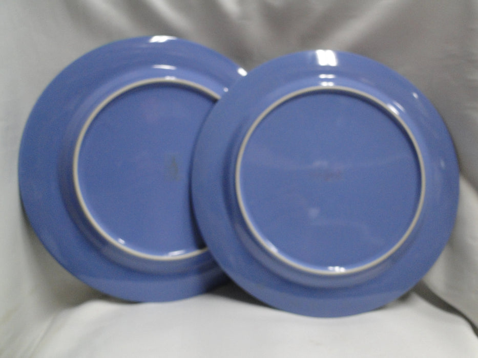 Lindt-Stymeist Colorways: Dinner Plate, Blue & Green, 11"