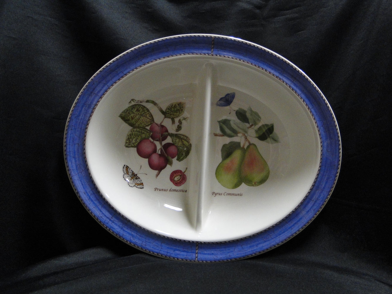 Wedgwood Sarah's Garden, Blue Band: Divided Serving Bowl, 12", Crazing