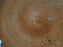 Steelite Craft, England: NEW Terracotta Coupe Salad Plate (s), 8"