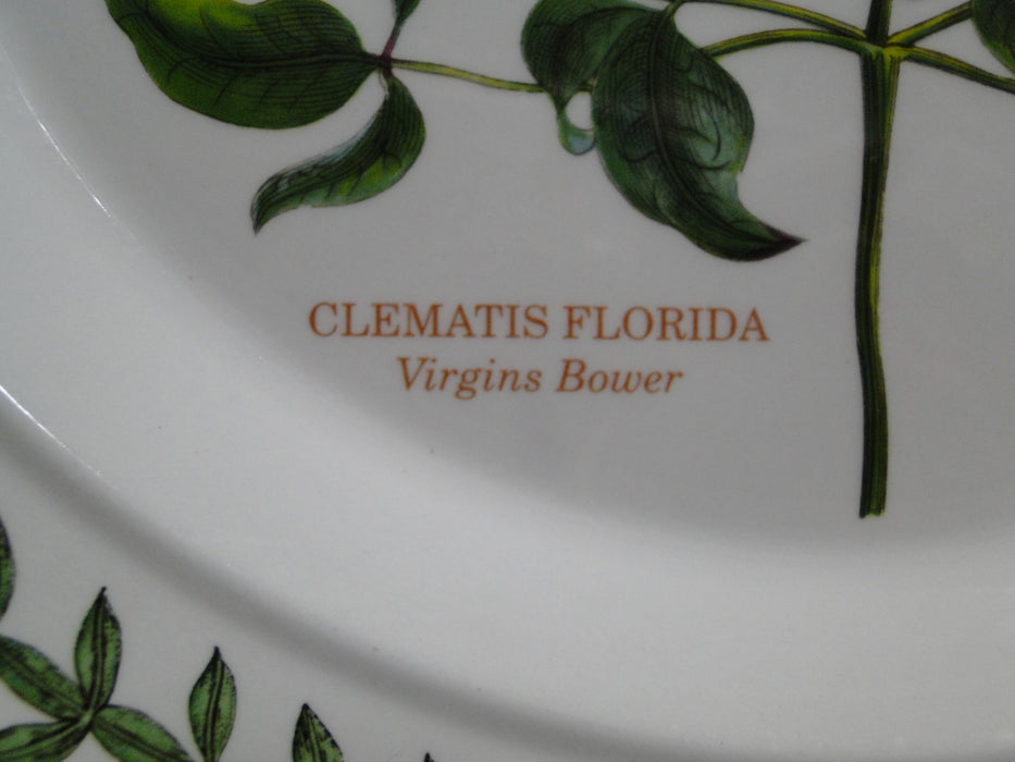 Portmeirion Botanic Garden: Dinner Plate, 10 1/2", Virgins Bower, Britain