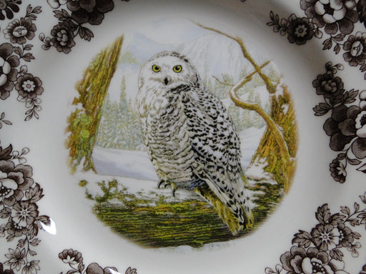 Spode Woodland Birds of Prey Winter Snowy Owl: NEW Dinner Plate (s), 10 1/2", Box