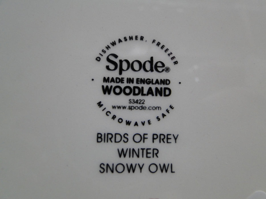 Spode Woodland Birds of Prey Winter Snowy Owl: NEW Dinner Plate (s), 10 1/2", Box