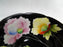 Chugai Black w/ Pink & Yellow Flowers, Gold: Demitasse Cup & Saucer Set (s)