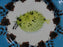 Lou Rota Nature Table, Anthropologie: Pufferfish Salad / Dessert Plate, 9 1/4"