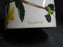 Portmeirion Botanic Garden: Cup & Saucer Set, 2 5/8", Speedwell, Britain