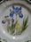 Noritake Gourmet Garden: Dinner Plate, 10 5/8", #5 Iris